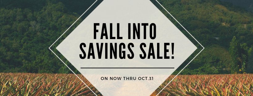 GLHBookstore's tweet photo. 20% off coupon &amp; fall savings sale - on now 😍 - https://t.co/HNSUgN0O8B https://t.co/LukPX6kv37