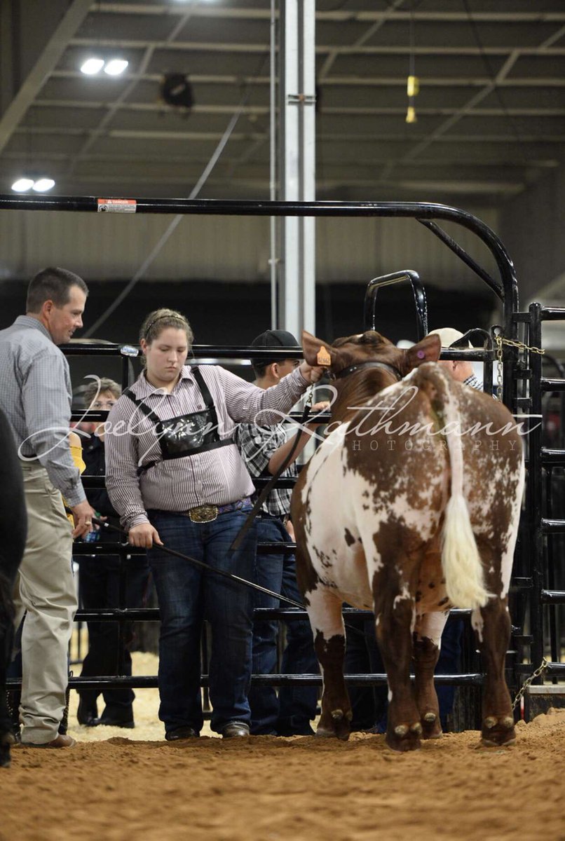 shots from the steer show, proud of those who showed!! #fbcf
