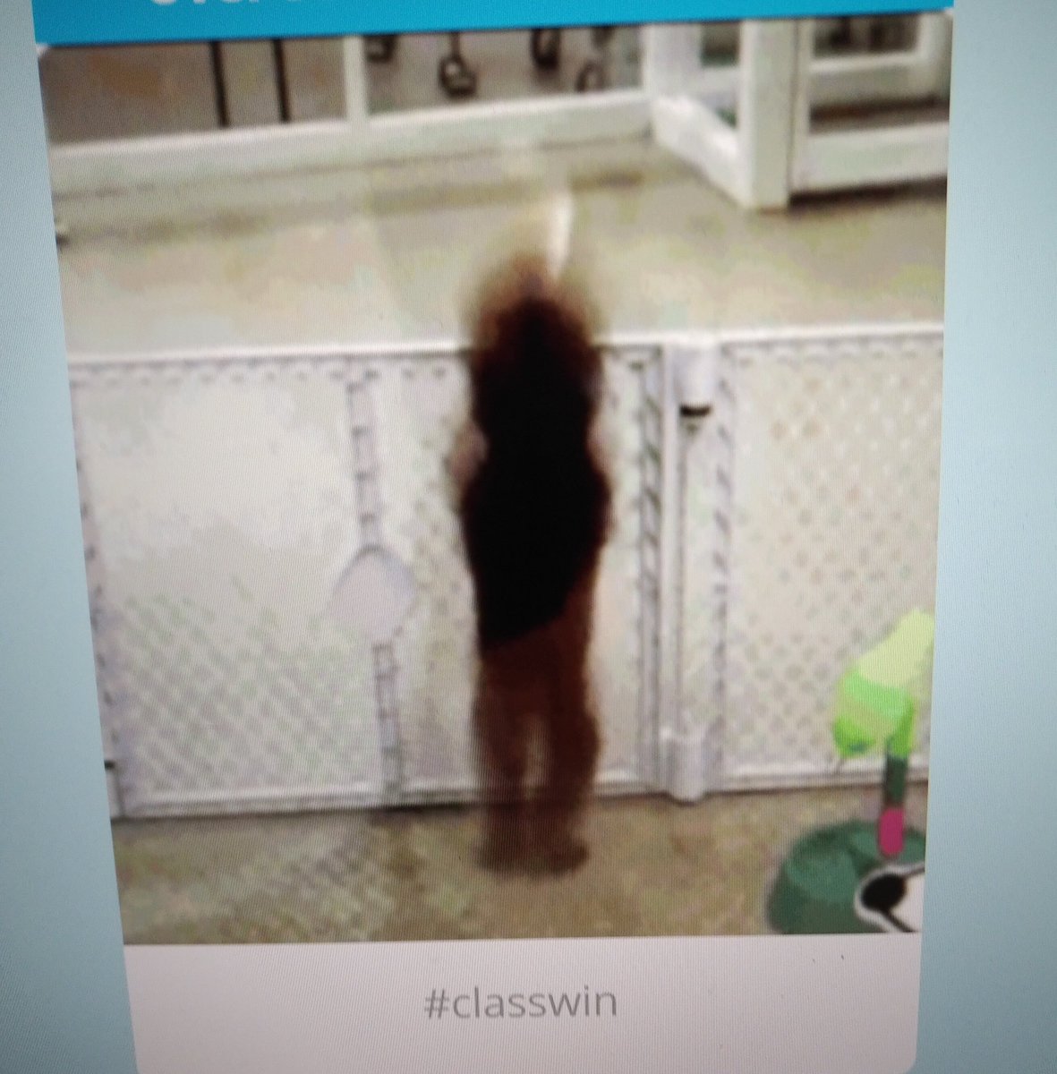 Ms_SMaciel's tweet photo. With our upcoming final Integer Assessment this week we used our learning time to practice using @GetKahoot & @knowledgehook ! 😍 @Mrs_TBabic a few Ss voted you as their favorite teacher #HCDSBmath #macielmathematicians #learningisfun #classwin https://t.co/HVLk4OydHH