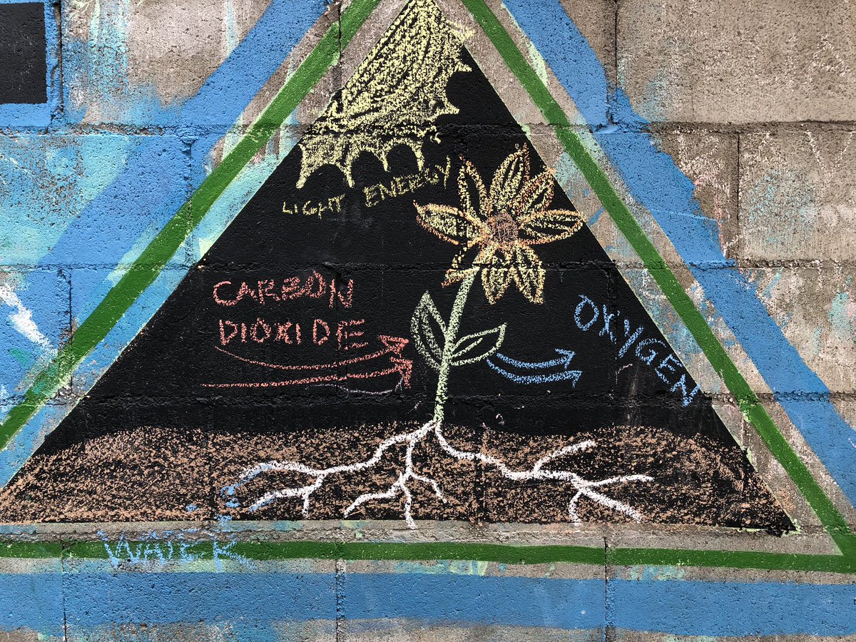 Science_ing's tweet photo. 1st day distributing dinoflagellates &amp; red algae grow kits to schools. 

We taught a quick lesson that touches on #bioluminescent #CarbonCycle #Climate-change #Circadian-rhythm #phytoplankton 

Thank you @JCVenterInst &amp; @Scripps_Ocean helping to make these free to schools. https://t.co/B2VClTWnK4