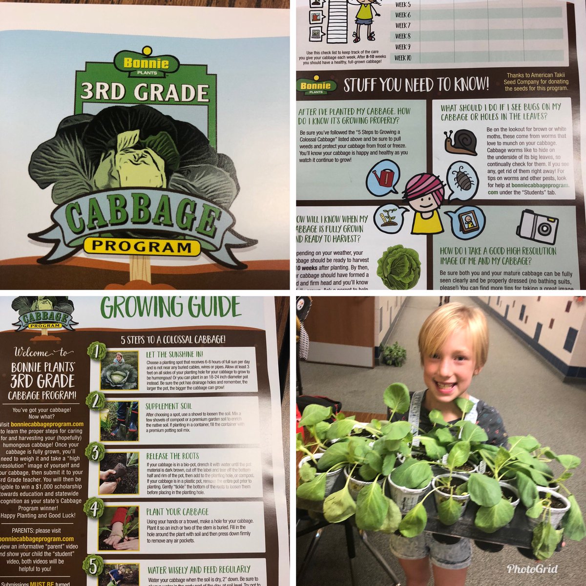 FrancineEricks7's tweet photo. Guess who delivered cabbage plants to Pleasant Hill? Bonnie Plants. #bonnieplants is awesome! #3rdgradeCabbageProgram https://t.co/zcai1esy6m