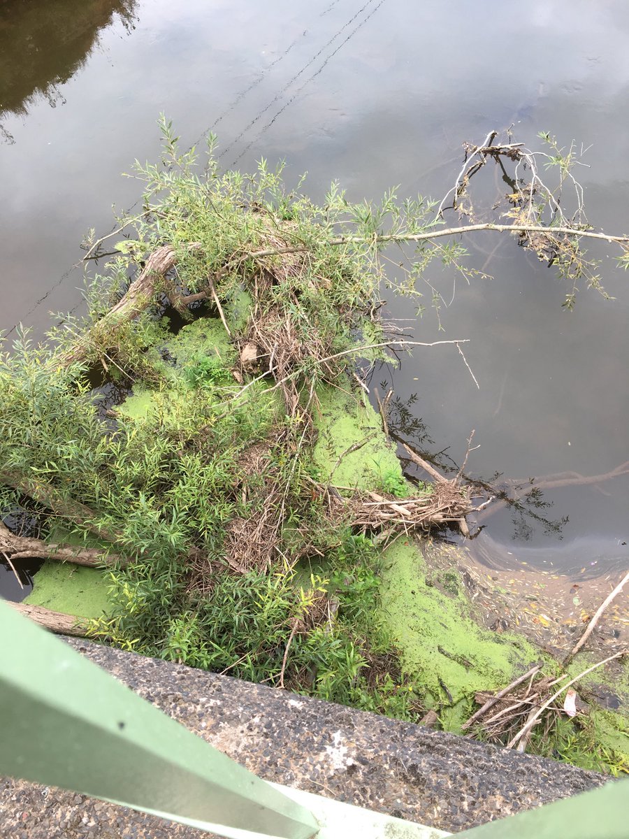 Fisherking2000's tweet image. @HighwaysWMIDS @EnvAgencyMids debris on Newmill Bridge RiverTeme. #scour #impeding flow