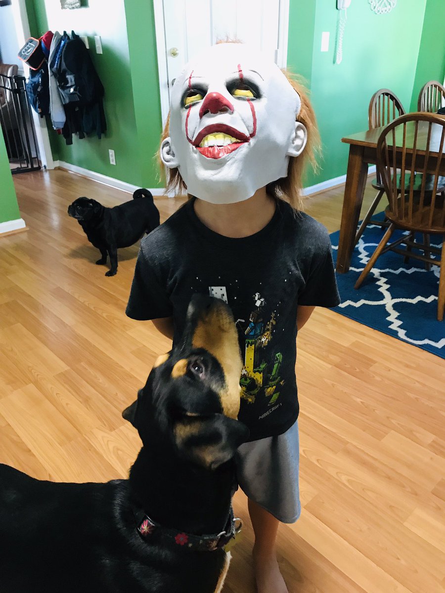 Kristen77113882's tweet photo. Happy October #MondayMood #Pennywise #rescuedog #normaldayhere #ineedtogobacktowork #Halloween2018 @PVESLibrarian https://t.co/hHNvWPextJ
