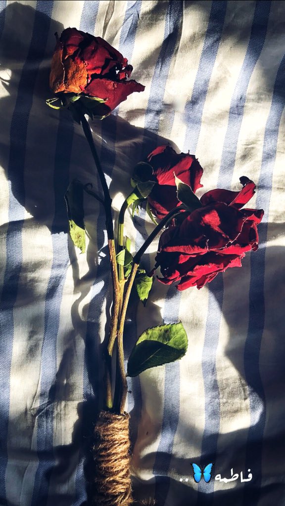 f___143's tweet photo. #ورينا_تصويرك_بالجوال 📷❤️❤️. https://t.co/4Qmi7yaWlu