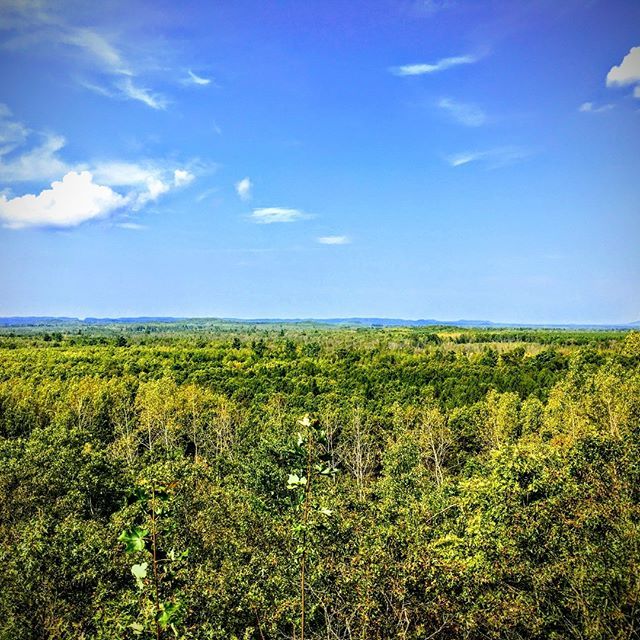 nurunco's tweet photo. October! Race month is here! In 19 days I'd recommend taking a few moments to soak in the views on the backside of the Wildcat loop. But, if you're going too fast, this gives you an idea of what's up there. https://t.co/gP4BKuFMiS https://t.co/S26yPCQs94 https://t.co/yZhFjT8WYa