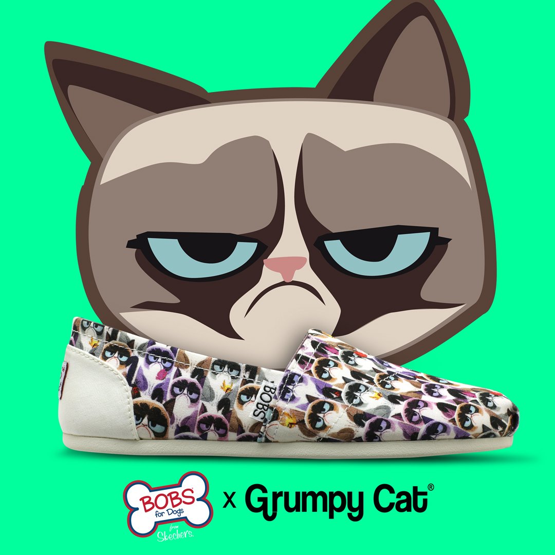 skechers bobs grumpy cat