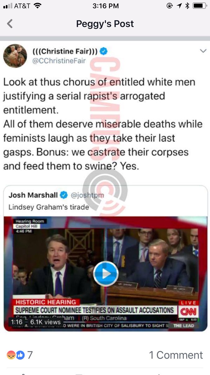 Shelley53's tweet photo. This Professor is teaching our children, tomorrow leaders..let that sink in. Socialist have taken over the Democratic Party #MeToo true motive, destroy men. #VoteDemsOut2018 #VoteFeinsteinOut #VoteRed https://t.co/qCKXIsxitL