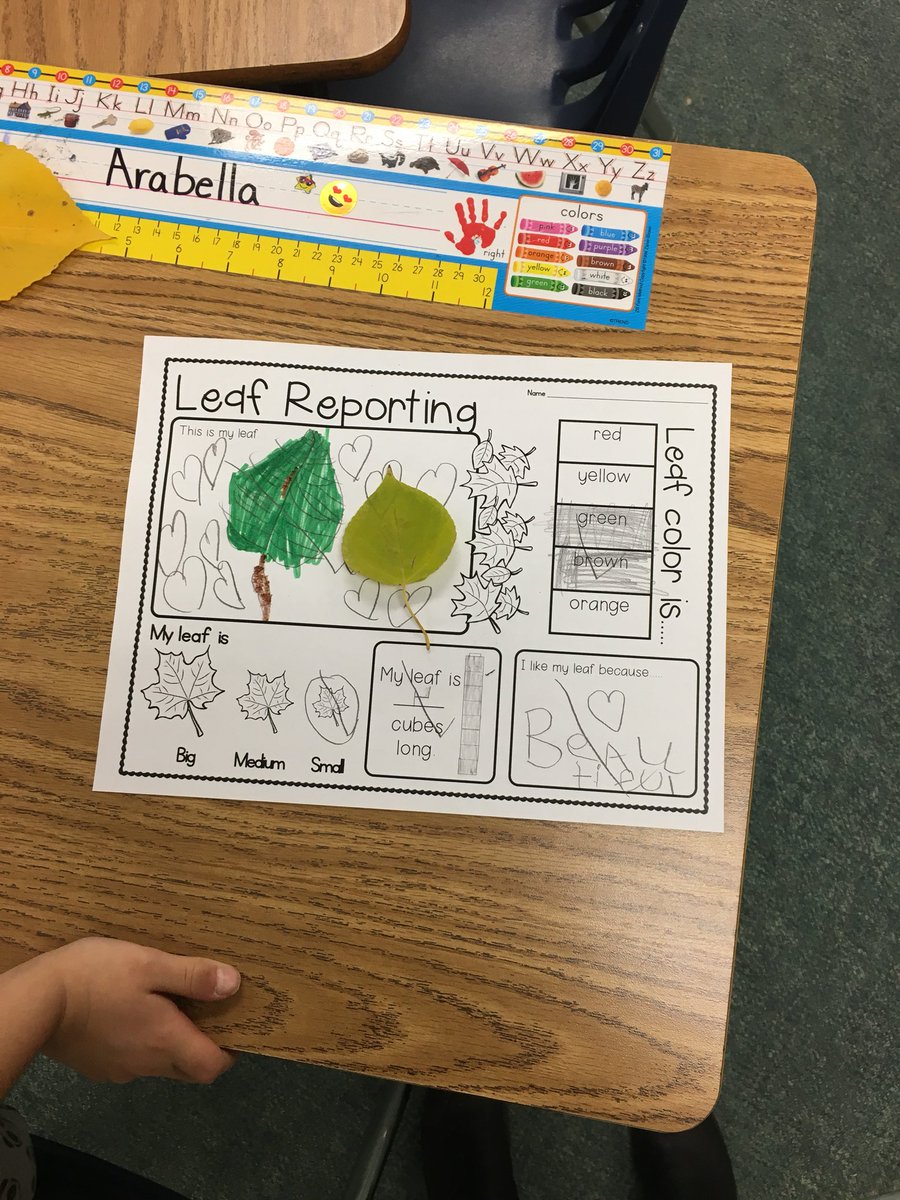 We loved collecting Fall leaves and reporting all about our findings!