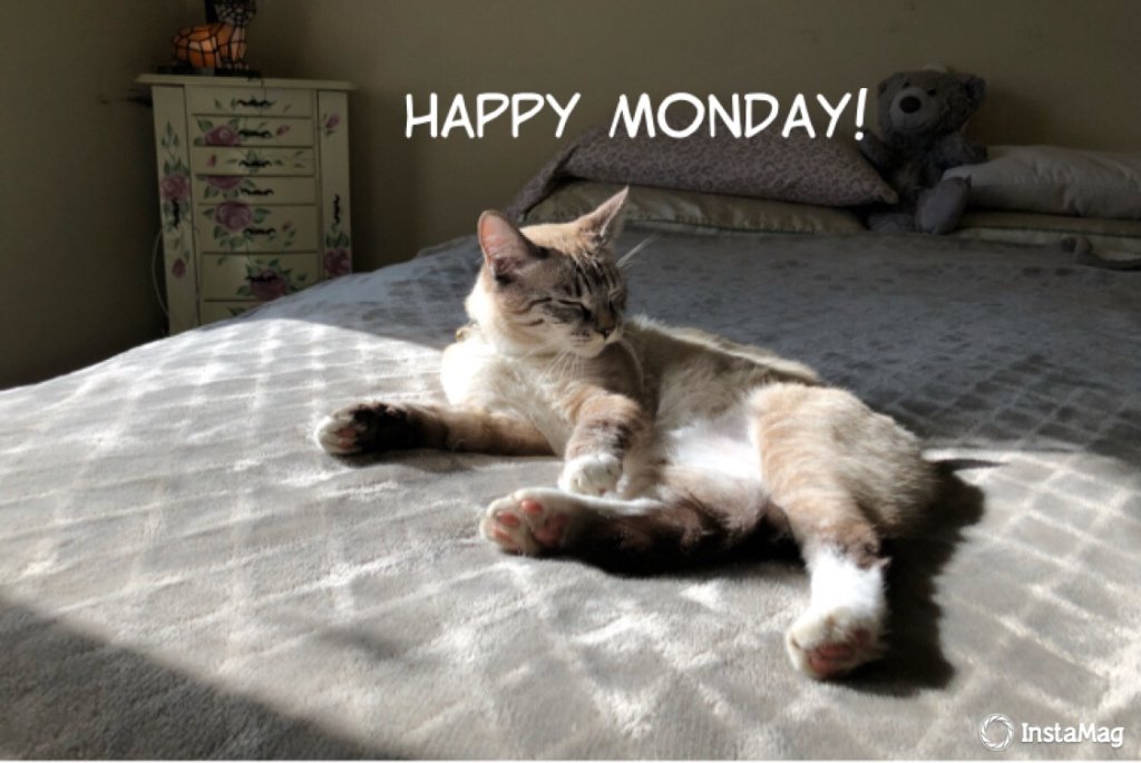 Monday Creature Feature twitchytwilightreloaded.wordpress.com/2018/10/01/mon…