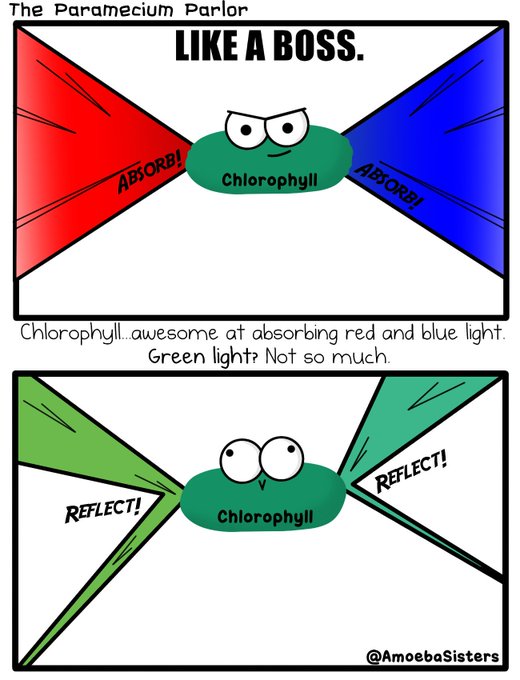 Amoebaのtwitterイラスト検索結果 古い順 Amoebaのtwitterイラスト検索結果 古い順