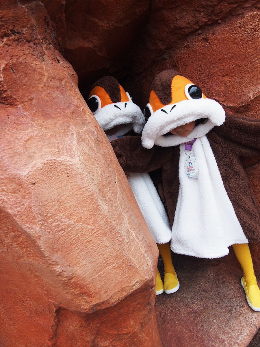 TAROS_TDR's tweet photo. 「ポーグの兄弟の小さな大冒険」
第１話『出発』

#Dハロ #Dハロ仮装2018 #StarWars #Porg #ポーグ https://t.co/JKddj4Luvz