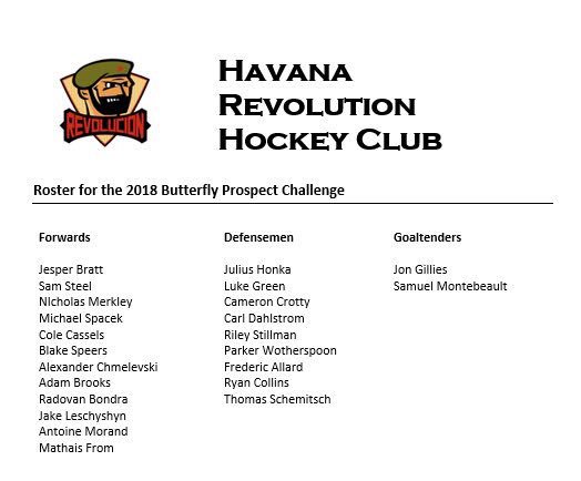 SICHLRevolution's tweet photo. Havana is proud to be part of the Butterfly Prospect Challenge in Hawaii. Looking forward to showing off our young talent. See who we are sending! #BPC2018 https://t.co/92N6NAJOYP