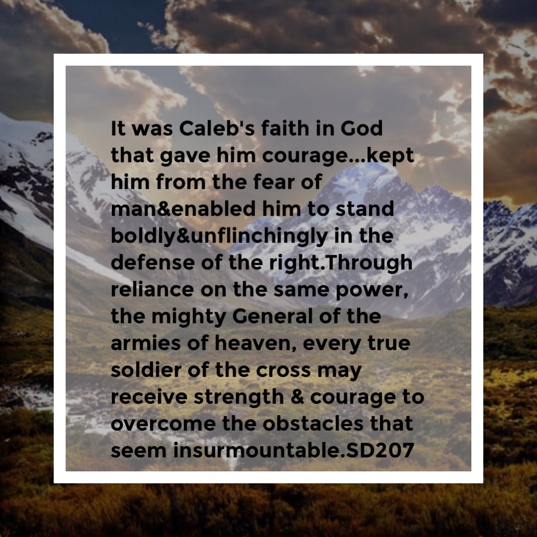 ELLEN G. WHITE tweet media