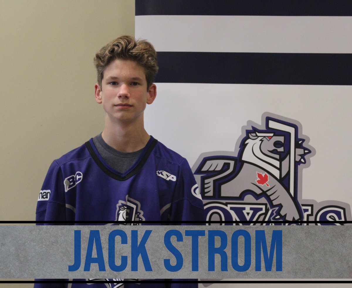 siroyalsminor's tweet photo. Here are the first four player announcements for your 2018-2019 Minor South Island Royals: Jack Westhaver, Jack Strom, Fraser Wyatt, Keelan Chester. #ProtectTheCastle #SIRoyals #MinorMidget https://t.co/m0EuazDr8L