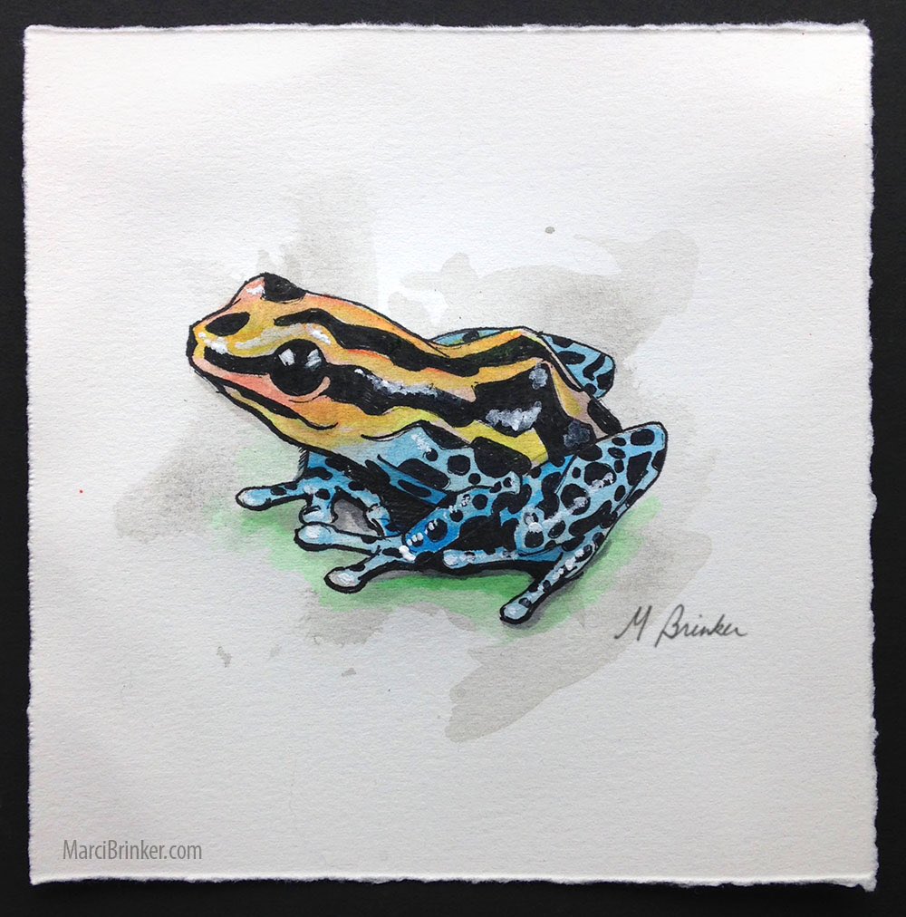 Is it really Inktober already?! I don't often stick to the prompts, but I did today: poisonous. This is a Poison Dart Frog. #fwink #inktober #ink #drawing #poisonous #frog #poisondartfrog #art