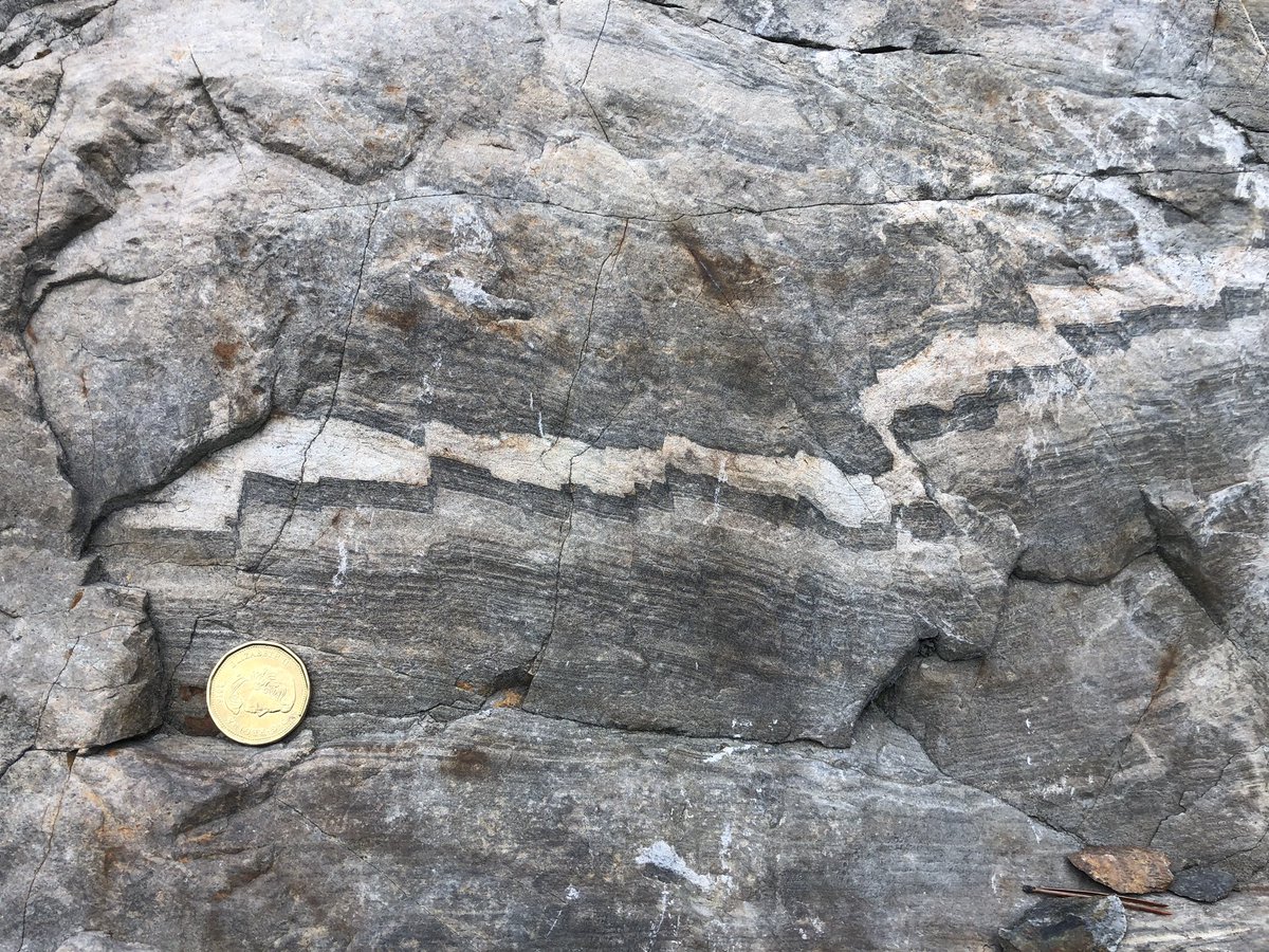 drcrater's tweet photo. Beautiful day of #geology in the North Range of the #Sudbury impact structure #FallFieldwork #outdoors #exploration @westernuEarth @westernuCPSX https://t.co/hEhxr2zJaa