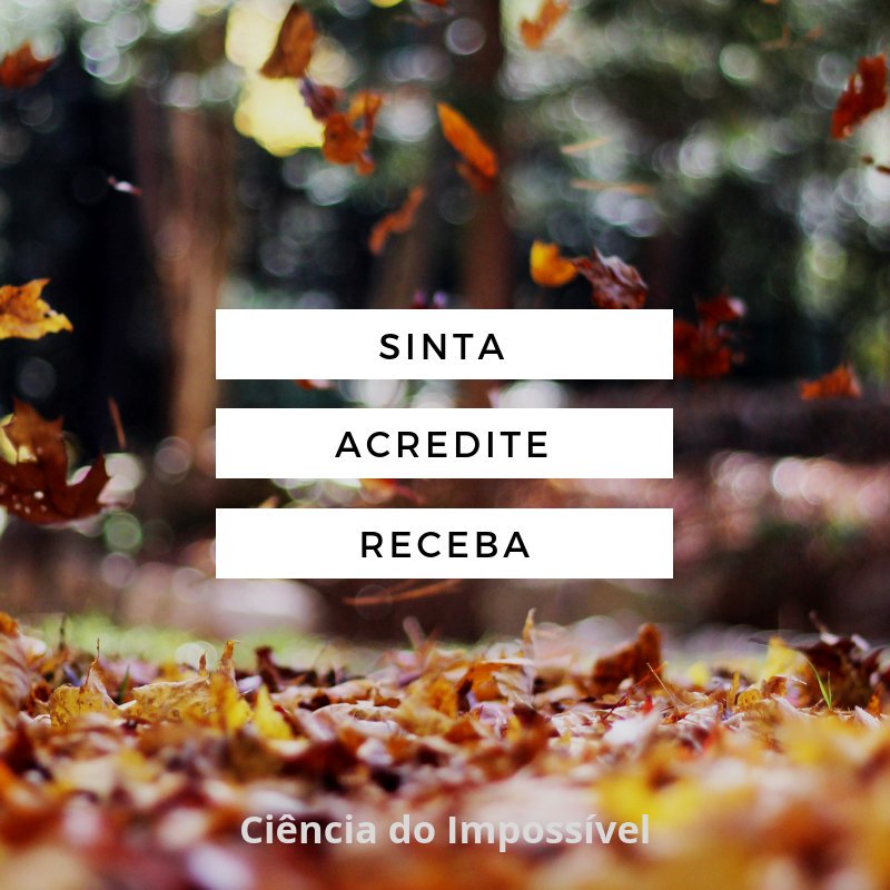 CDI_2018's tweet photo. #leidaatração #boanoite https://t.co/S0NWRjugU1