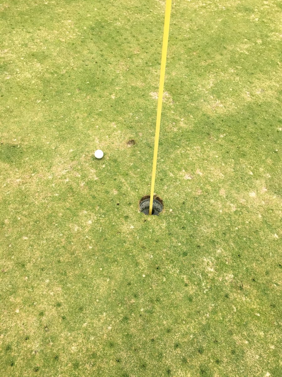 GolfHolyoke's tweet photo. Matt Dulude sticking it tight on the iconic 7th hole at wyckoff CC for a tap in birdie #stuck #pinhunter #MassGolf https://t.co/p0O0wAAdSK