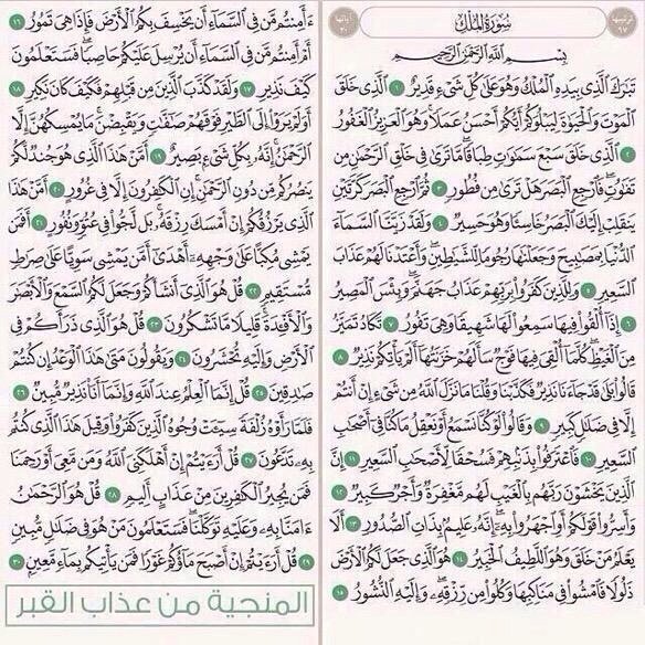 Sadagah_Alm's tweet photo. سورة المُلك : هنيئًا لمن جعل قرائتها قبل النوم عادة❤️ https://t.co/MEm2ZbMVcX