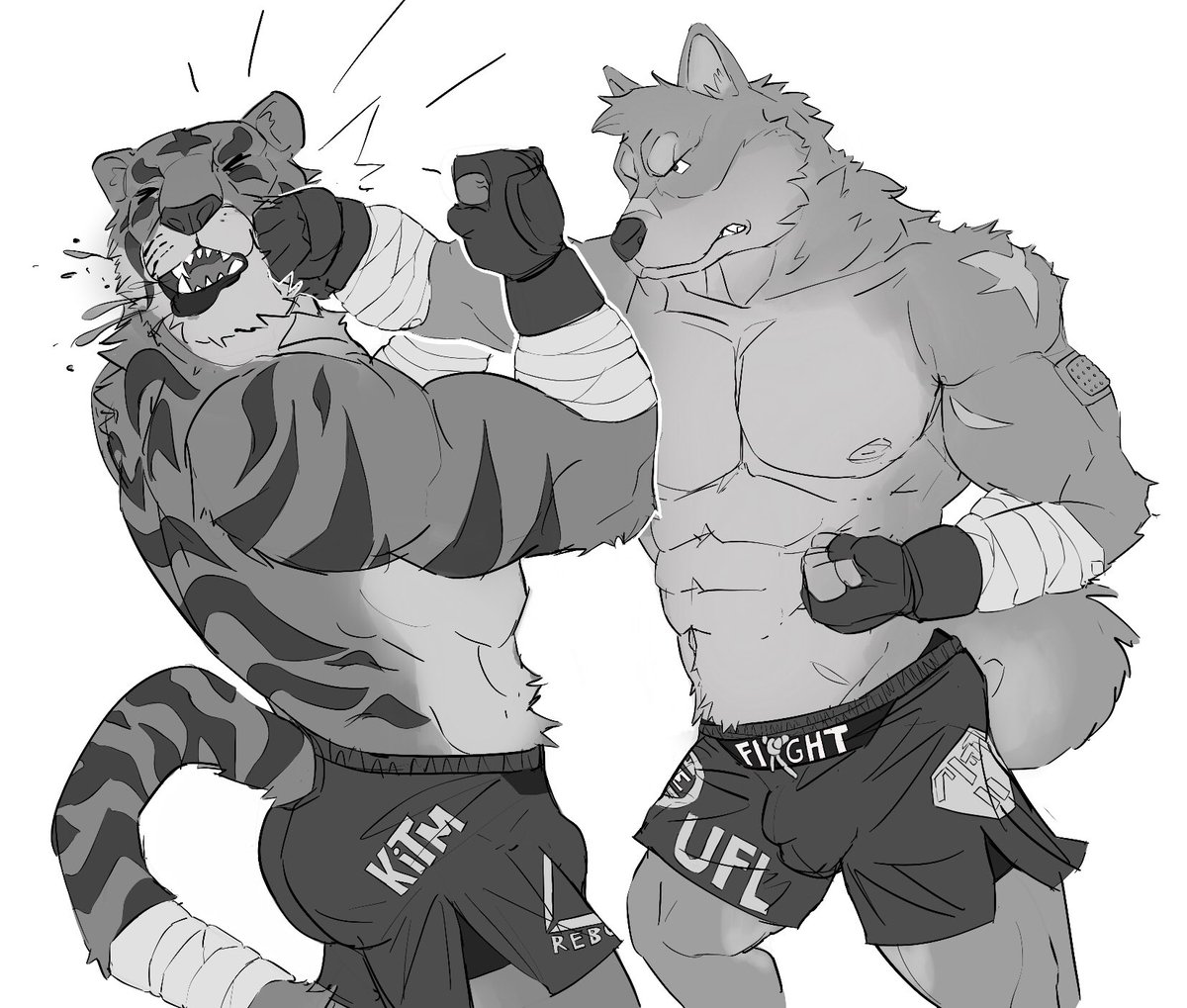 mma shiba in action!