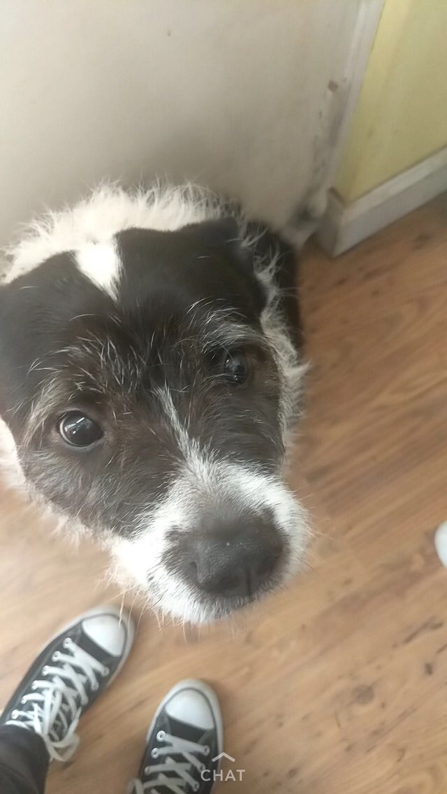 sadie 🍂 💜 tweet media