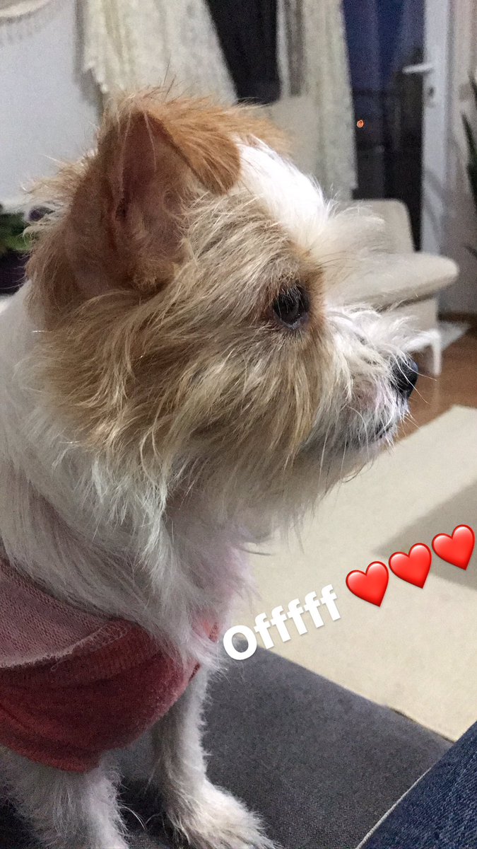 Dünyam,minik sevgilim ❤️ #seniseviyorum