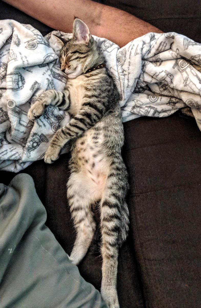 ehunt2020's tweet photo. 💤 https://t.co/WJ9HICexmJ
