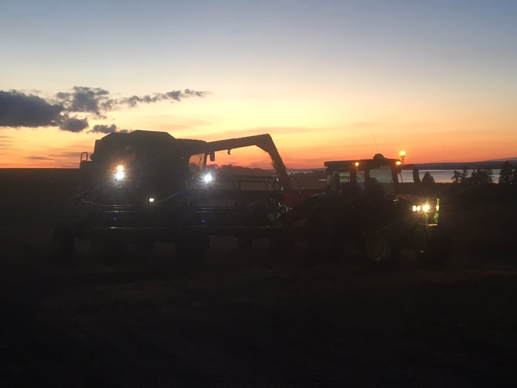 Had a good day. A crew work on corn silage. And I set up for soybeans. My son is unloading the last hopper of day. #harvest18 #nsag