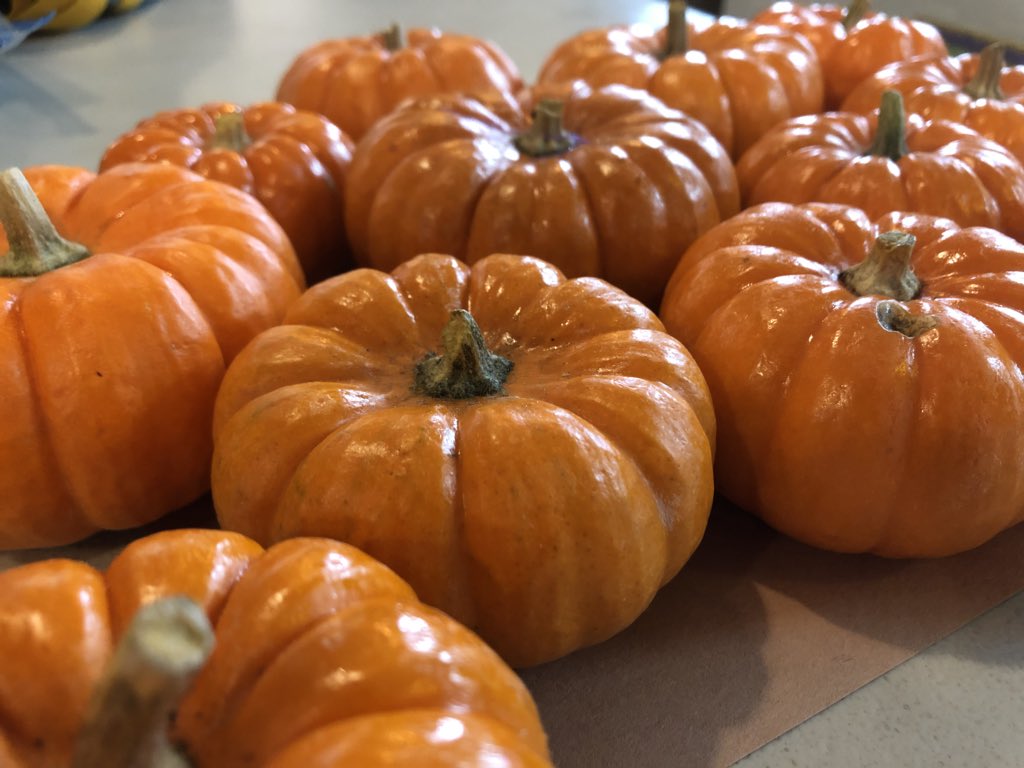 #TeatroMilagro is on the way to Hacienda! In celebration of October 1st, we’re decorating pumpkins!      milagro.org/workshops-resi…