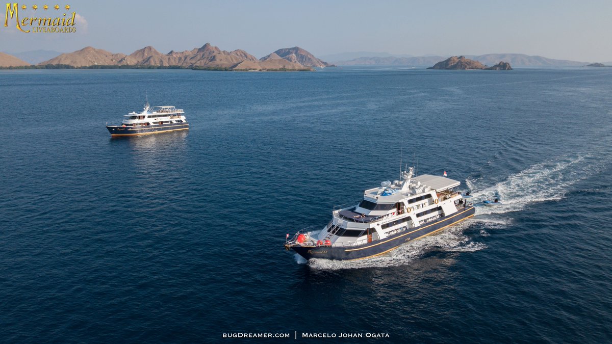MermaidLOB's tweet image. Very few occasions we can see both boats together Mermaid I and Mermaid II
Photo by #bugdreamer at #Komodo National Park

#mermaidliveaboards #komodoNP #indonesia #liveaboardholiday #scubadiving