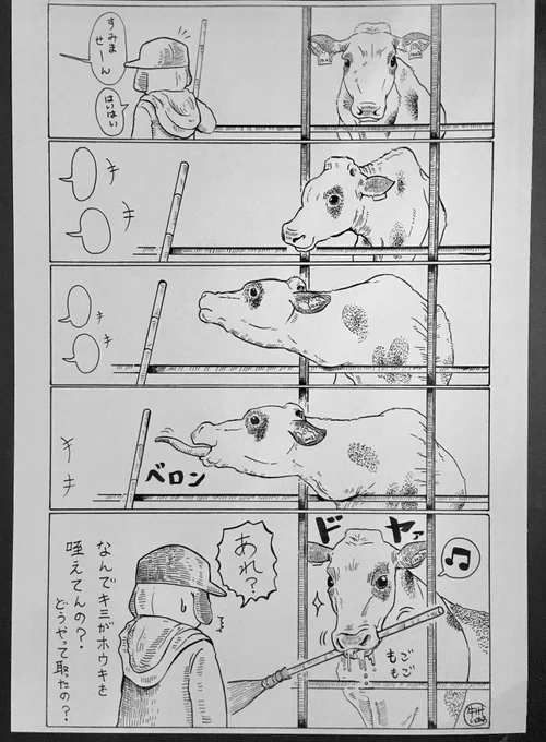 牛の舌?って、思っている以上に長くて器用に動く?
まさに草食動物って感じで好きです。

しかし、強風で天井から垂れ下がってしまった電気コード(電気が通っている)を、舌を伸ばして触っていた時はヒヤッとしました?

届くんだよね・・舌… 