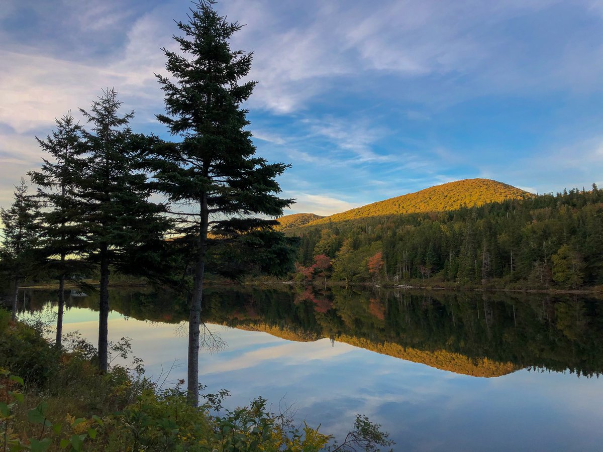 CB_CelticHeart's tweet photo. The evening air is crisp and the leaves are beginning to show their colours. 

As we prepare for the busy nine days ahead it’s alway good to remind ourselves of the quote by Celtic Colours co-founder Max MacDonald’s, “Remember, it’s a marathon, not a sprint”. #celticheart https://t.co/K8geRENPY8