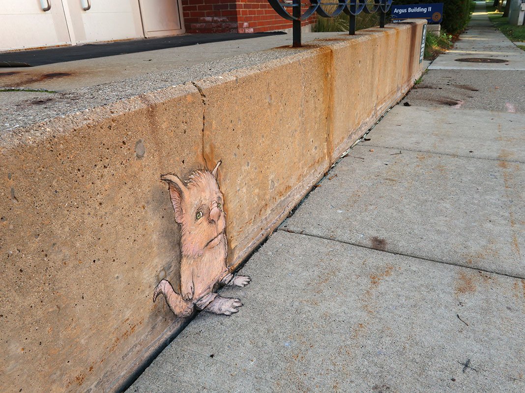 davidzinn_art's tweet photo. Angus always feels a little flat in autumn. #streetart #sidewalkchalk #anamorphosis #perspective #graffiti #diffident #troll https://t.co/Eyaav9Zyg8
