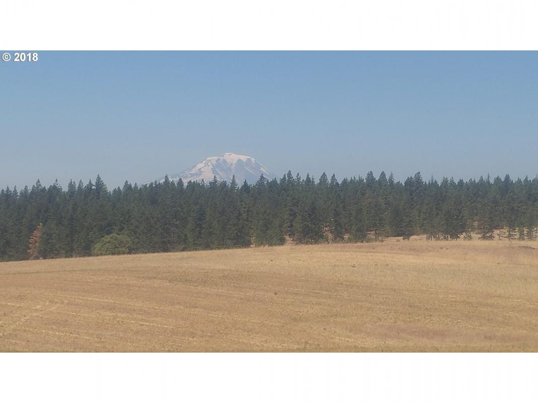janeecekvr's tweet photo. Check out my #listing in #Goldendale #WA  #realestate #realtor https://t.co/NO4c1aZiwr https://t.co/cAahylnG2E