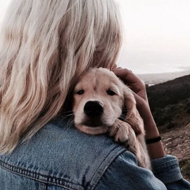 hotdogcollars's tweet photo. Puppy cuddle Mondays 😍🐶
.
.
.
.
source unknown, dm for creds
#Regram #WeeklyFluff #DogsOfInstaWorld #Canon #Nikon #IG_eternity #IgCutest_Animals #Photo #Photography #PetPhotography #ExcelentDogs #TopDogPhoto #Dog_Features #DogPhotography #TheStatelyH… https://t.co/YglB2jqBrC https://t.co/zYcw2rCAzD