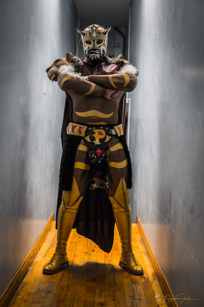 Fans De Pumaking Catsby Pumaking Twitter