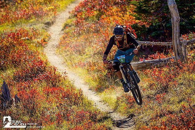 pearlizumi's tweet photo. Life is good when you’re shedding the gnar.
#brapp #pearlizumi #transcascadia #motivationmonday https://t.co/xnIZVUAyW4 https://t.co/PbTQOCvKVO
