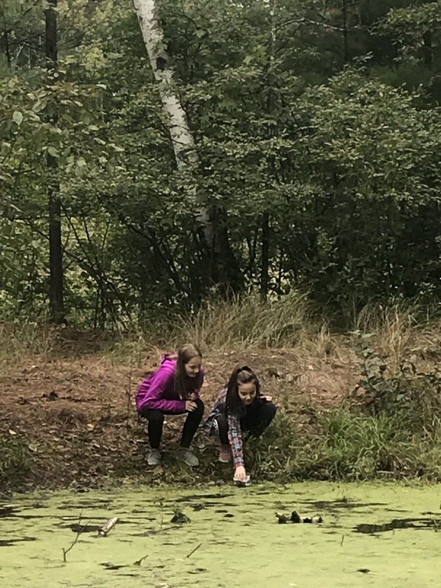 ammoldenhauer's tweet photo. Frog and tadpole hunting at camp last week! #outdoorscience #frogs #nmspolars https://t.co/PEbDomB4JQ