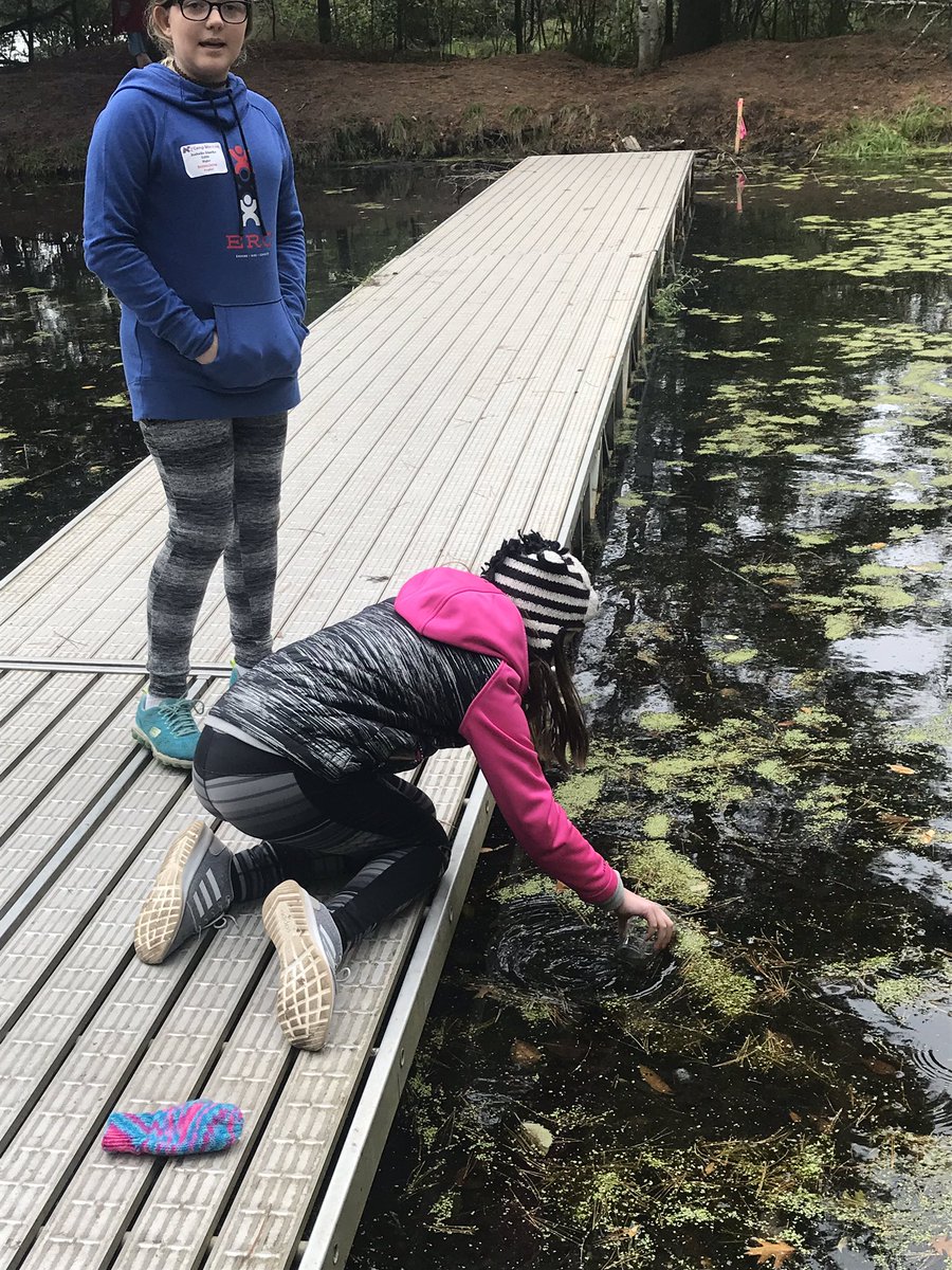 ammoldenhauer's tweet photo. Frog and tadpole hunting at camp last week! #outdoorscience #frogs #nmspolars https://t.co/PEbDomB4JQ