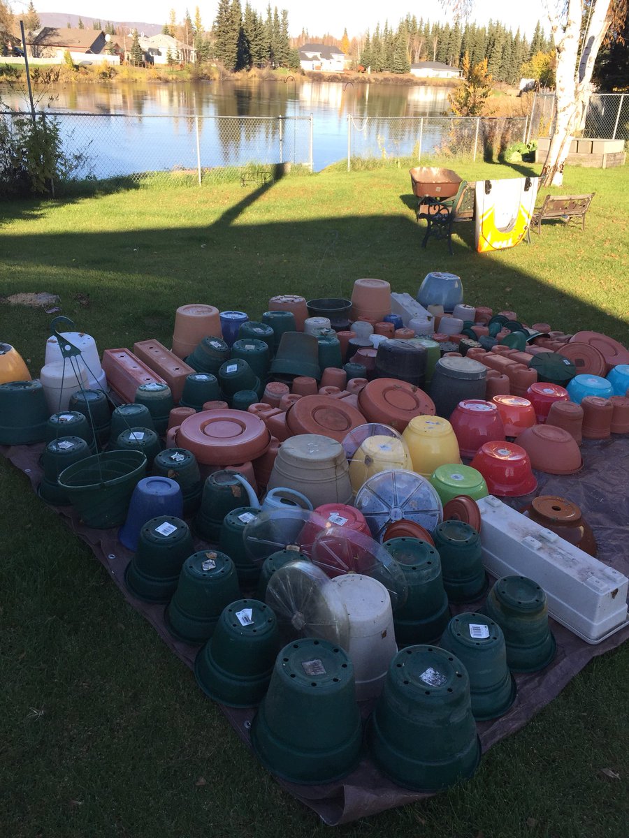 Lesameath1's tweet photo. Took sunny opportunity to dump & rinse all containers. Will store and await Spring planting #AKsummer #Imissgardening https://t.co/z2olnEyeah