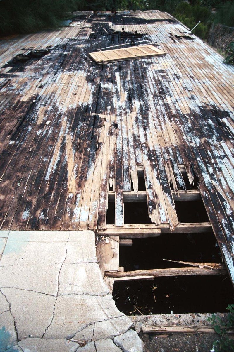 Constan43319013's tweet photo. Rotting wooden floor https://t.co/PBAVpStqs7