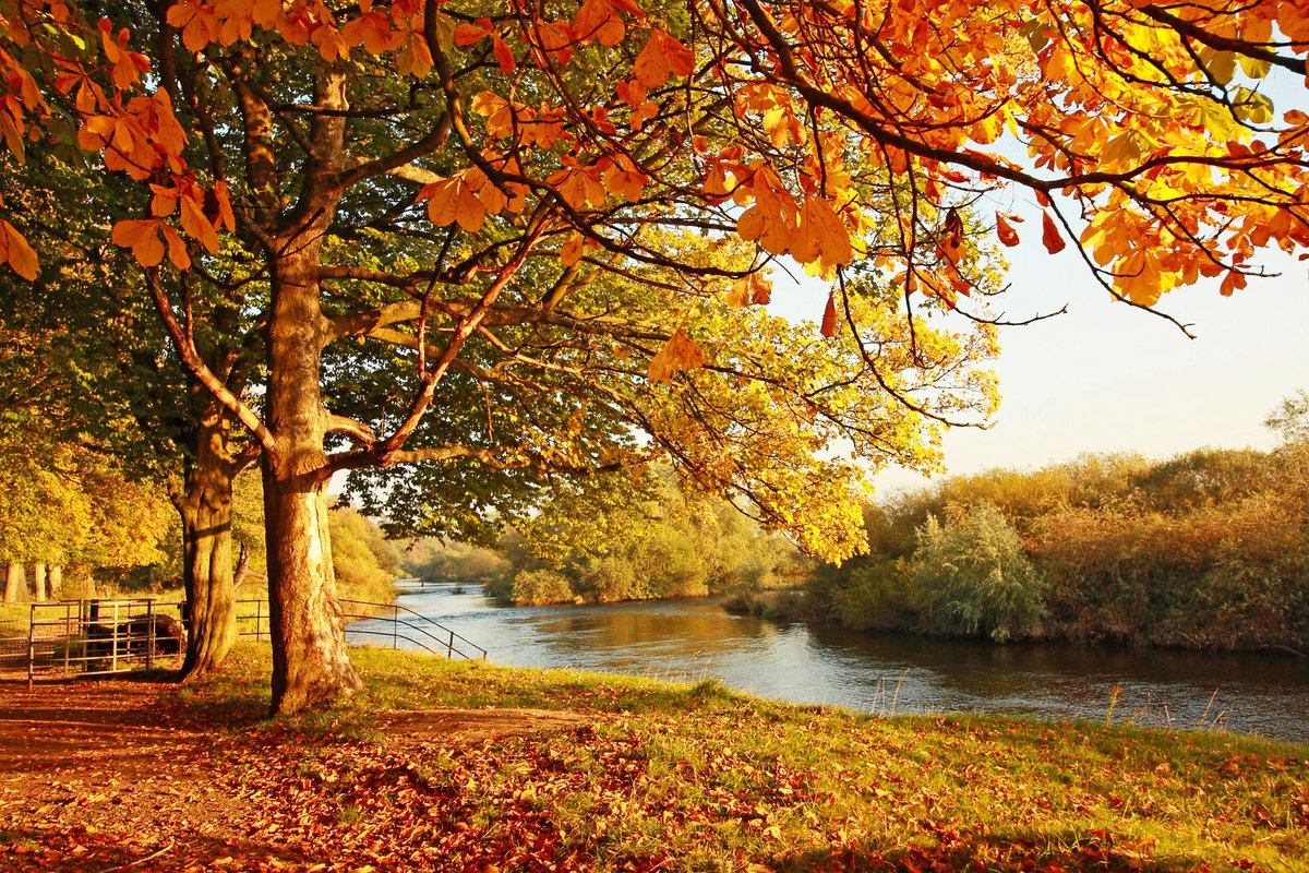 Vivement le long week-end de 3 jours qui approche! 🙌 C'est le moment parfait pour faire un arrêt à Nicolet et découvrir le paysage automnal enchanteur de la région! 🍂