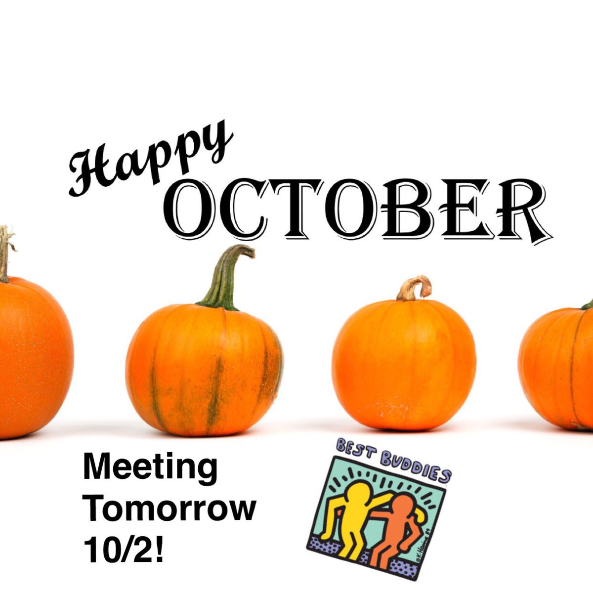 Meeting tomorrow!! We will have a fall themed meeting creating some of our own leaves to put together on a tree, kickball too (weather permitting). Come down and Be a buddy! 2:20, Cafe A. And don’t forget to bring your $10 dues! 💚