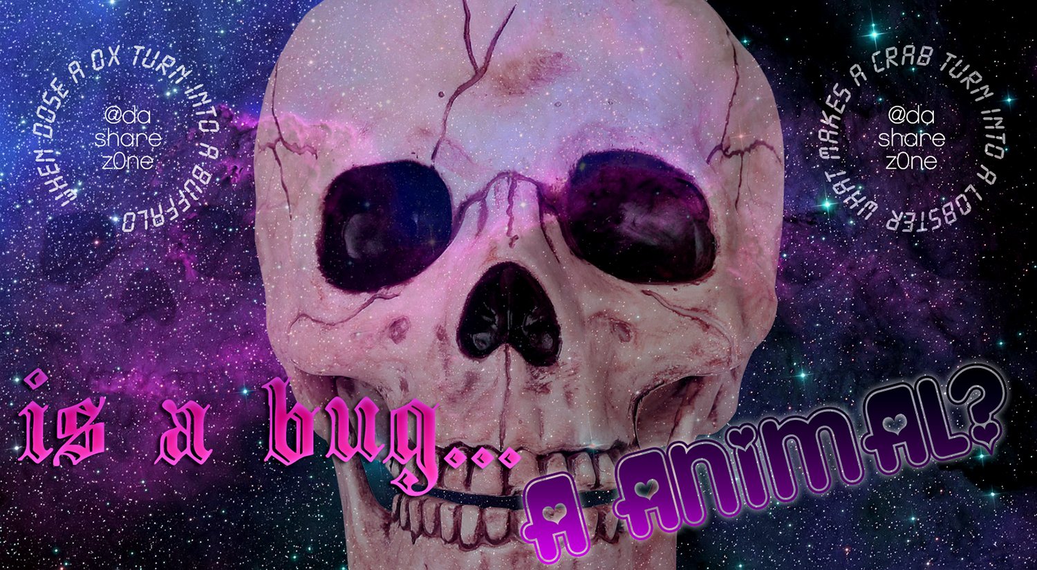 IS A BUG A ANIMAL - https://t.co/Qtp3PuUDXE ADMINN