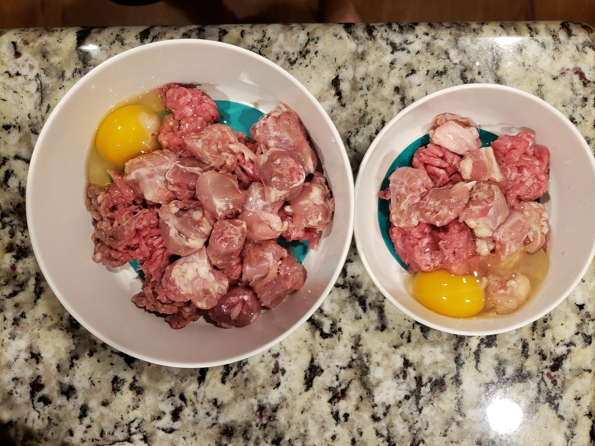 can dogs have ground beef