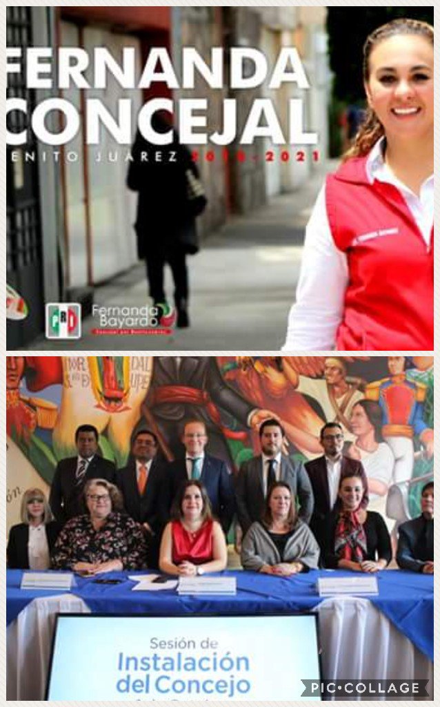Cesar_Topete's tweet photo. Hay noticias que alegran aún más tu día, y una de ellas es saber que una gran mujer, política, joven con gran trayectoria y lucha ya es concejal de la alcaldía de Benito Juárez, Muchas Felicidades @ferbayardo #PuroPaDelante #SomosPRI #OrgulloIRH https://t.co/gt3K0090pf