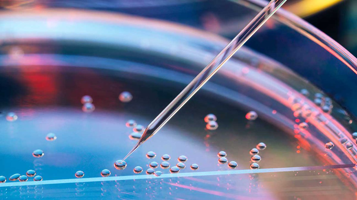 In 1968, the first successful bone marrow transplant was performed. Recently, stem cells from the bloodstream have been used to treat the same blood-based diseases.

SCI will make this treatment accessible to everyone.
Discover all the benefits of SCI: scia.io