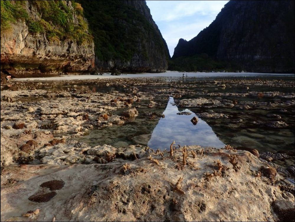 THAILAND (Krabi - Phi-Phi) - MAYA BAY CLOSED INDEFINITELY
October 2, 2018 - By The Thaiger
Maya Bay is to remain closed indefinietly.
thethaiger.com/news/phuket/ma…