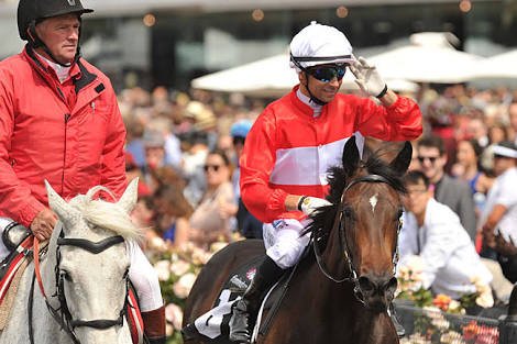 brillianceracin's tweet image. Trainer Adrian Bott has confirmed that #InvincibleStar won’t take its place in the #Everest which leaves the door open for a new horse in the slot owned by Greg Ingham. Scans taken from the mare indicate that she jarred up on the track. Sydney Stakes on Everest day next start?