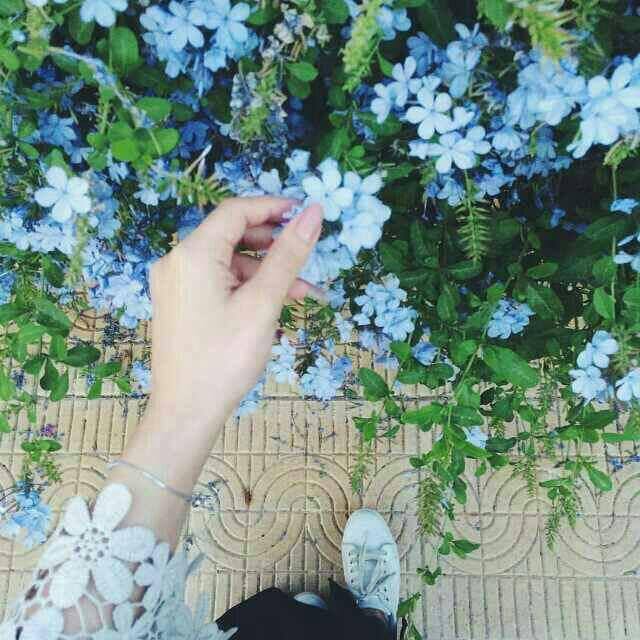 صنعانيه تهبل (@shihas711) on Twitter photo 